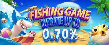 555rr apk