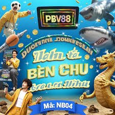 555rr apk